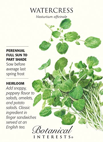 Watercress Seeds - 250 mg - Perennial Herb Watercress Seeds - 250 mg - Perennial Herb