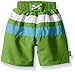 i play. by green sprouts baby boys Colorblock With Built-in Reusable Absorbent Diaper infant and toddler swim trunks, Lime/Aqua, 6 Month US