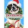 Beethoven - L'Avventura Di Natale