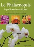 Le phalaenopsis : La préférée des orchidées