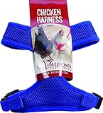 Chicken Harness (Blue, Small)