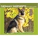 German Shepherds 2009 Desk Calendar