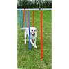 Trixie 3206 Dog Activity Agility Slalom, 115 � � 3 cm, blau/orange