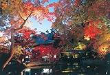 1000ピース 高台寺秋の宵 71-360
