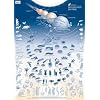 Poster: Die Evolution der Tiere, Format DIN A1 + Begleitbuch