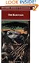 The Kalevala: An Epic Poem after Oral Tradition by Elias L�1/2nnrot (Oxford World's Classics)
