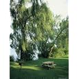 Willow-Lined Lakeside Picnic Area in Cayuga Lake State Park Photographic Poster Print by Skip Brown, 12x16