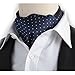 Stylefad Men's Mirofiber Cravat Ascot Self Tie