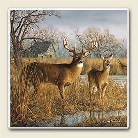 Click here to buy AbsorbaStone Coaster set~ Our Side of the River Deer ~4 Tile Drink Coasters ~ code 289 by Artworks Home Accents.