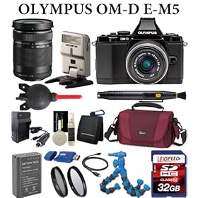 Olympus OM-D E-M5 Micro Four Thirds Digital Camera with 14-42mm Lens Kit (Black) + Olympus M.Zuiko Digital ED 40-150mm f/4.0-5.6 R Lens (Black) + Olympus FL-300R Compact Flash + LexSpeed 32GB Class 10 SDHC Memory Card + Lowepro Apex 110 AW Camera Gadget Bag + Flexpod + Spare Battery + Travel Charger