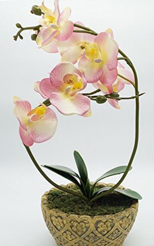 tanglinasa Artificial Flowers Silk Phalaenopsis Moth Orchid With Vase - 2 Branchs With 9 Flowers，5 Leaf (Pink)