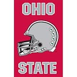Ohio State Buckeyes Applique Banner Flag