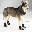Guardian Gear Dog Boots - Blue or Pink