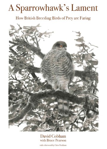 A Sparrowhawk's Lament: How British Breeding Birds of Prey Are Faring (WILDGuides)