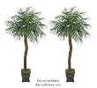 TWO 8' Artificial Phoenix Coconut Palm Trees with BENDABLE Trunks