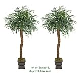 TWO 8' Artificial Phoenix Coconut Palm Trees with BENDABLE Trunks
