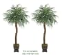 TWO 8' Artificial Phoenix Coconut Palm Trees with BENDABLE Trunks, with No Pot