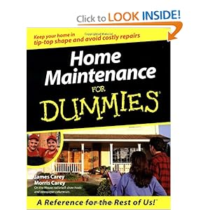 Home Maintenance for Dummies - James Carey