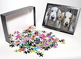 Photo Jigsaw Puzzle of Dog - Golden Retrievers sitting down behind bars from Ardea Wildlife Pets