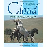 cloud wild stallion of the rockies