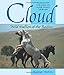 Cloud: Wild Stallion of the Rockies, Revised and Updated