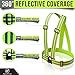 Pawtitas Reflective Leash Green Medium M/Large L