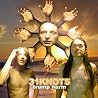 Image of album by 31 Knots