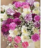 from Bunches Parisian Pink