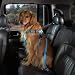 Automotive : BLUE - LARGE - The Cruising Companion Car Harness