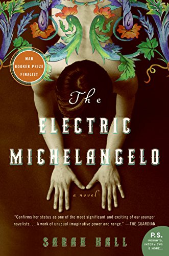 the electric michelangelo