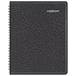 DayMinder 2010 Monthly Planner (G40000)