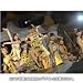 AKB48 よっしゃぁ～行くぞぉ～！in 西武ドーム　スペシャルBOX [DVD]