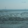 Black Sea [Vinyl]