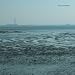 Black Sea [Vinyl]