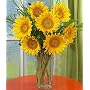 Flowers - Sunflower Radiance Flower Bouquet with Vase