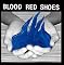 Blood Red Shoes Picture 1