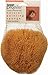 ProPlus Natural Painting Sponge Medium Texture, Small