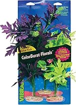 Vibran-Sea Amazon Broad Leaf Flowering Cluster Assortment
