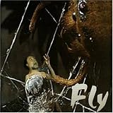 Fly
