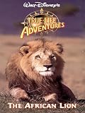 The African Lion