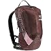Fly 13 Backpack by ARCTERYX