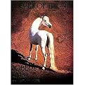 Horses of the Sun (A Gallery of the World's Most Ex1Uisite Equines) (Hardcover)