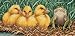 Dimensions Counted Cross Stitch, Ugly Duckling