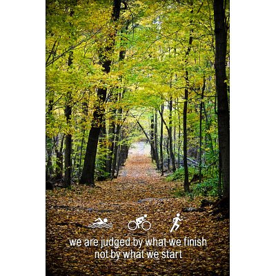 Sports Posters on Triathlon Trail Motivational Quote Sports Poster Print     13  19