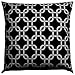 JinStyles Pillow Cover, Accent, Decorative, Throw, Square, Trellis, Black, 18 x 18