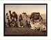 FRAMED - Camels halting in the desert Holy Land, c. 1890s