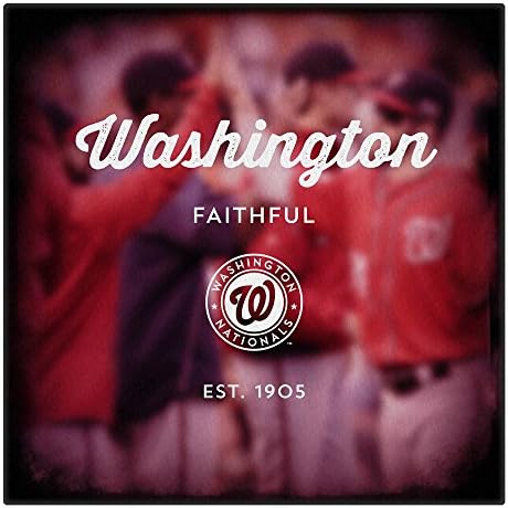 Canvas of Washington Nationals Blur Art