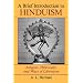 A Brief Introduction To Hinduism: Religion, Philosophy, And Ways Of Liberation