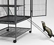 Midwest Ferret Nation Exterior Ramp