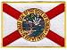 Florida State Flag Embroidered Patch Iron-On FL Emblem